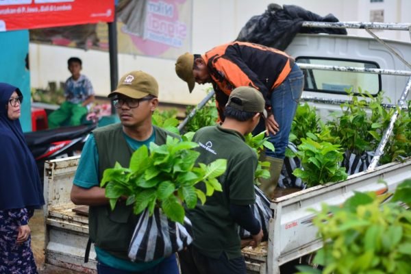 Quick Tree Planting Guides