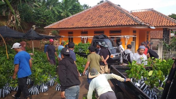  Reforestation Benefits