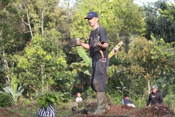 Best Reforestation Charity programs