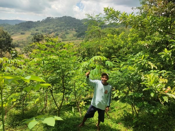 masimun_kalirejo kebumen_trees4trees_jonas