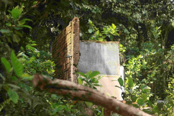 Preventing Clean Water Shortages and Landslides in Kenteng Village, Kebumen, Central Java
