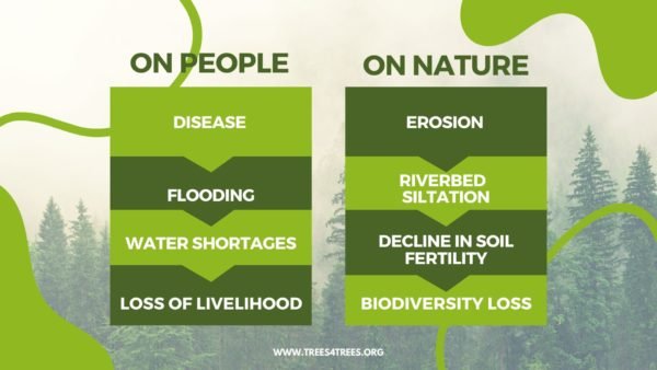 Disease flooding and citarum river