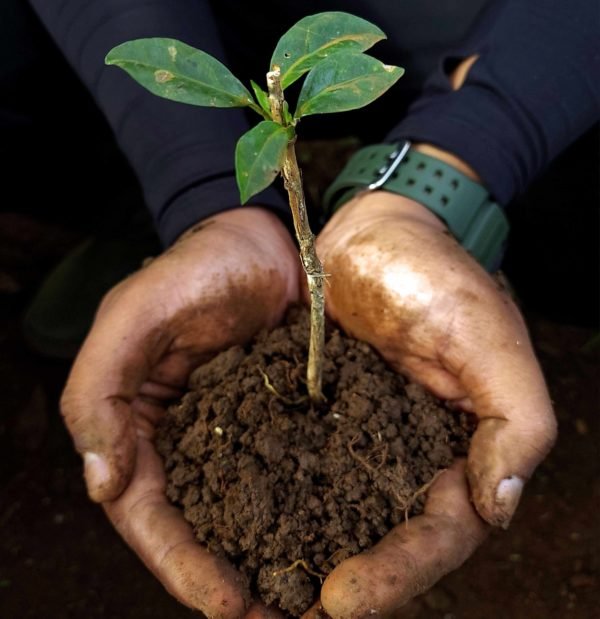 10 Mother’s Day Eco-Friendly Gift Ideas