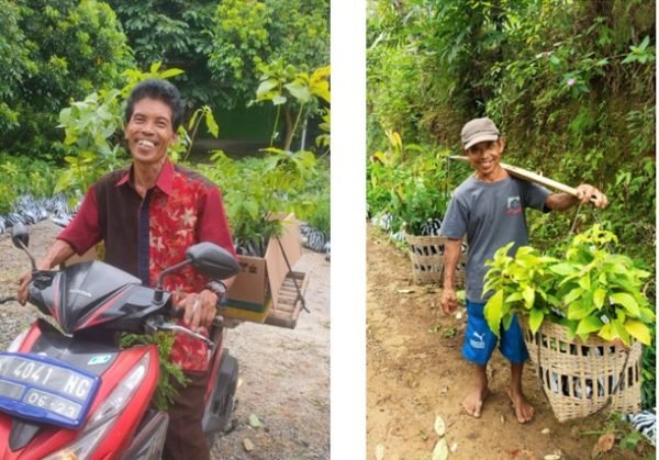 trees4trees planting season 2022