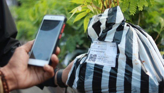 Putting Down Roots: Trees4Trees Planting Season 2022