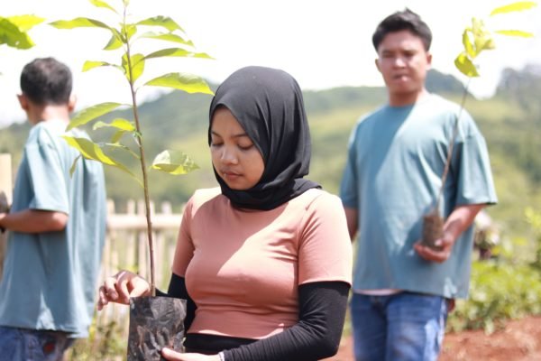 Trees4Trees collaborated with Barekurve