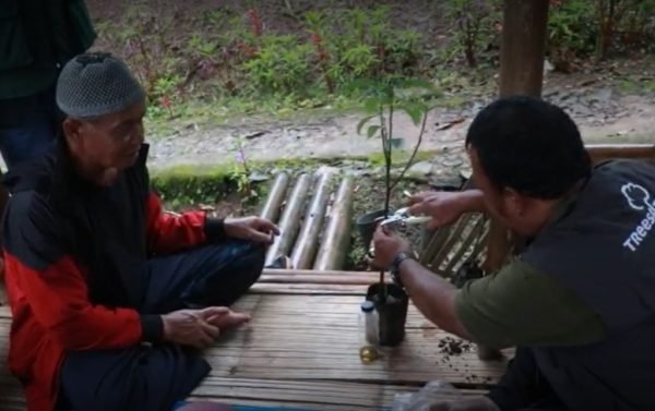 Idin Tauhidin learns grafting techniques from Rahmat