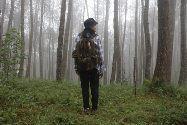 10 Sustainable New Year Resolutions