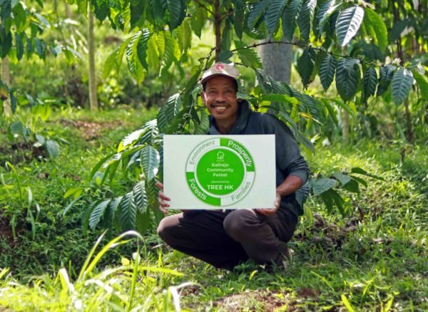 Rasito, Optimizing His Field with Coffee Trees