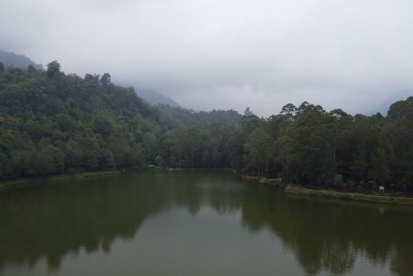 Situ Cisanti and the Source of the Citarum River
