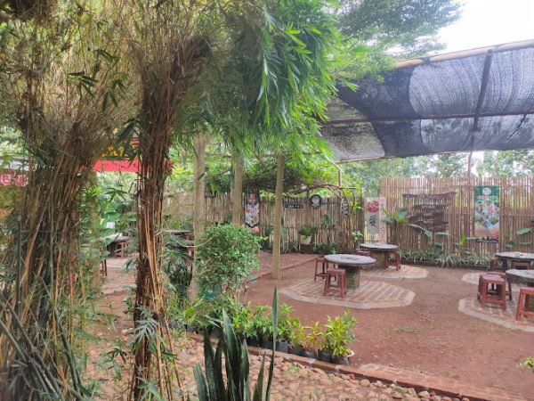 “Trendy and Engaging”: Yutaka Farm Makes Mangroves Fun