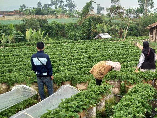 Reviving Clean Water Access in Lebak Muncang Tourism Village