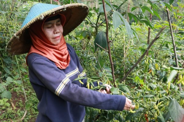 Reviving Clean Water Access