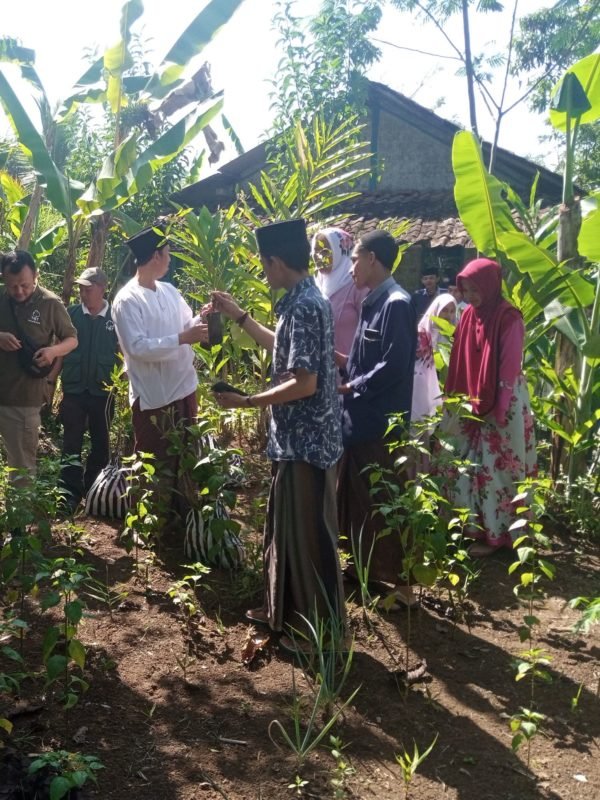 Trees4Trees School Visits