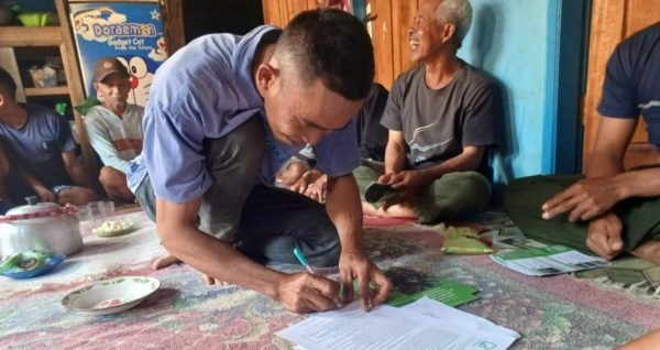 Planting consultation