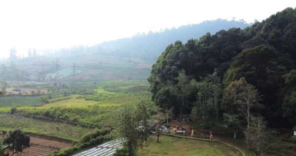 Travels in Java: Take a Dip in the Cibolang Hot Spring