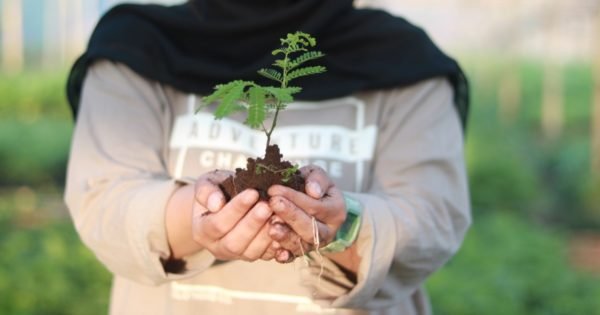 10 Eco-Friendly Gift Ideas for Christmas and New Year 