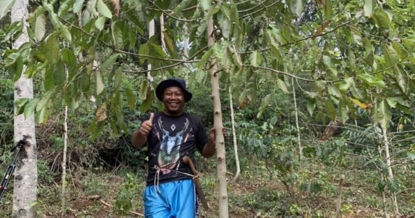 When Tradition Preserves Nature